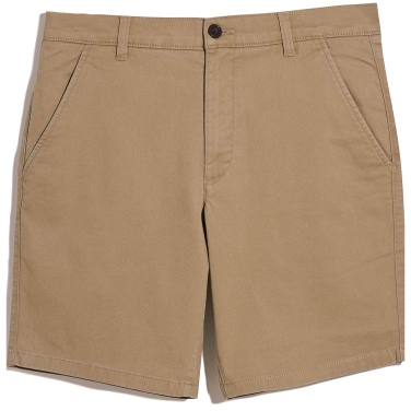 Hawk Chino Shorts