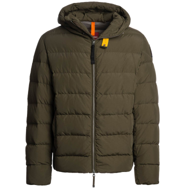 Cassian Hooded Down Jacket