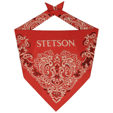 Paisley Bandana