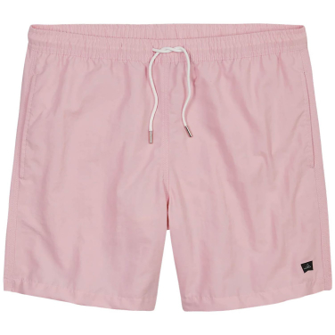 Hudson Swim Shorts