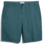 Hawk Regular Fit Dye Twill Shorts
